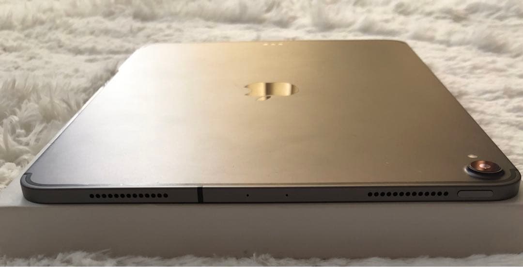 【完動品】iPad Pro 11 第1世代 512GB SIMフリー 【即発送】