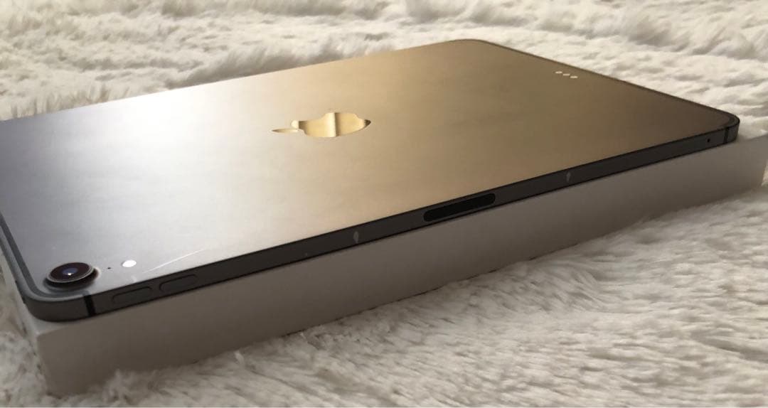 【完動品】iPad Pro 11 第1世代 512GB SIMフリー 【即発送】