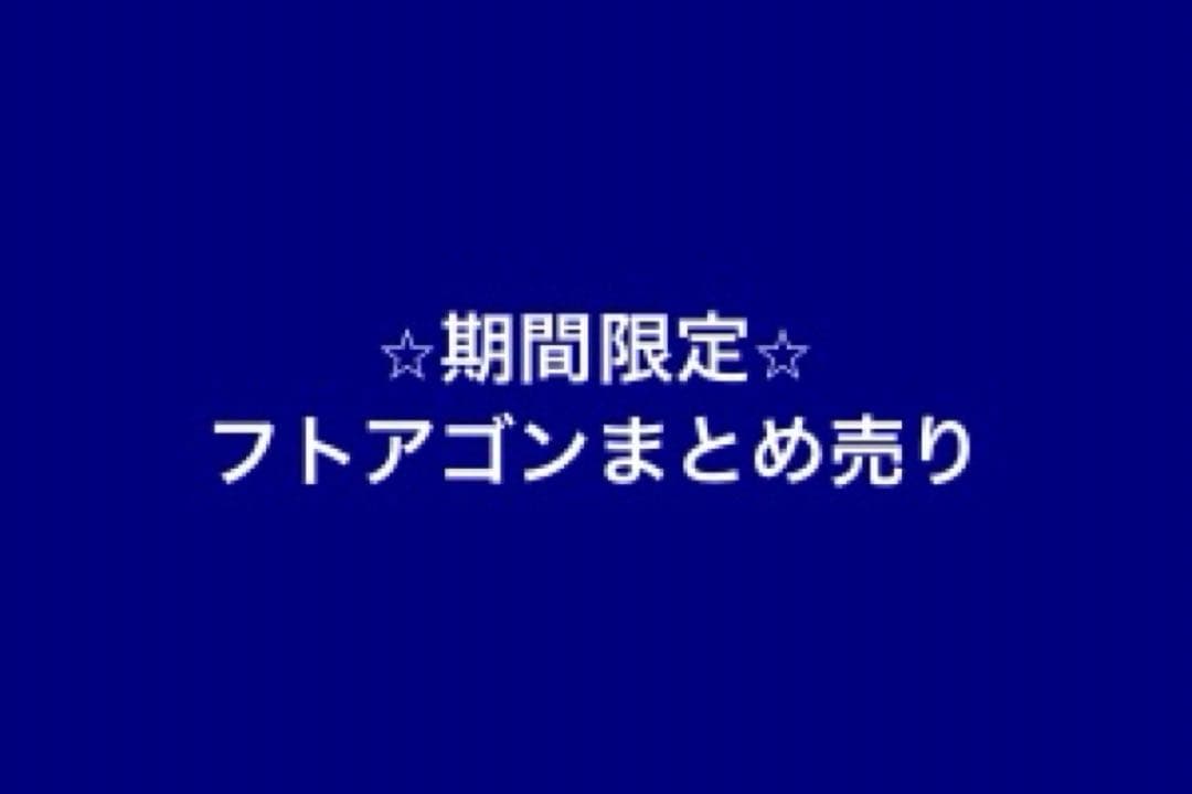 ⭐︎期間限定⭐︎フトアゴンまとめ売り　大幅値下げ　ソフビフィギュア　19体