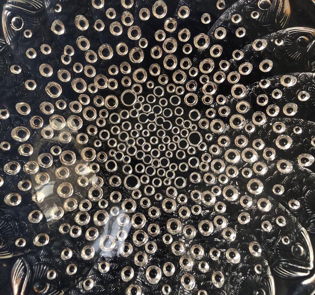 【極美品】LALIQUE ラリック ロスコフ 魚 泡 大型ボウル 名作