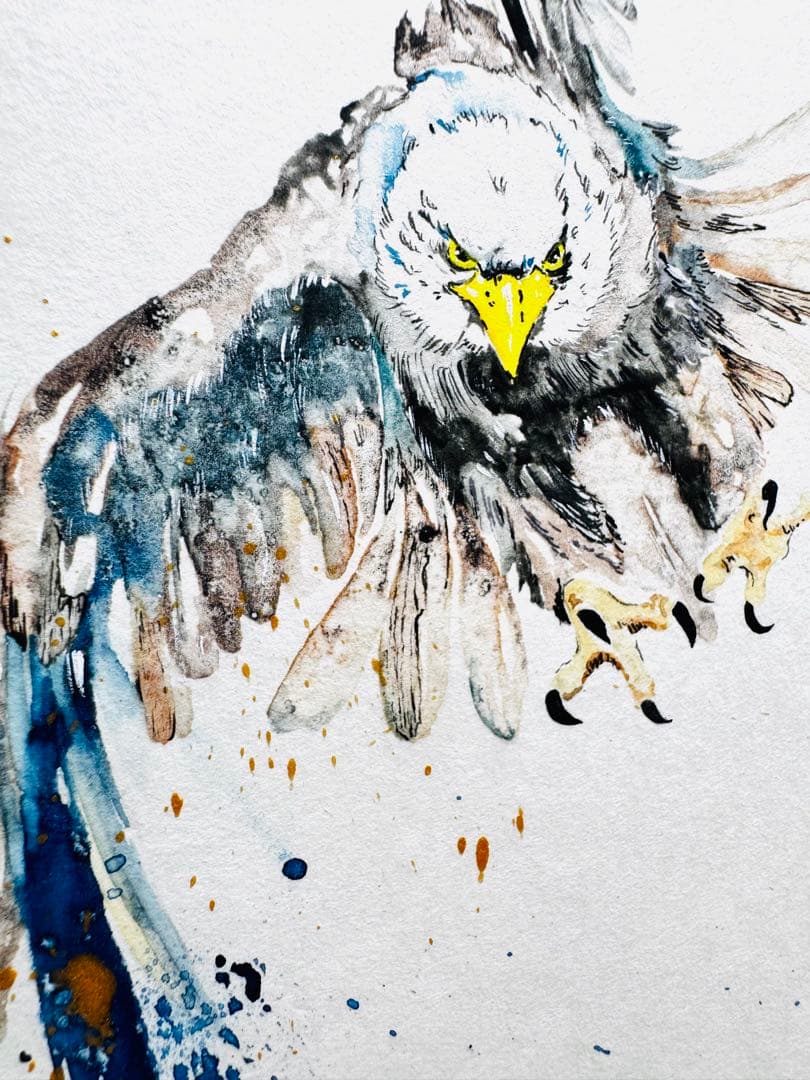 鷲 鷹 イーグル 額装済