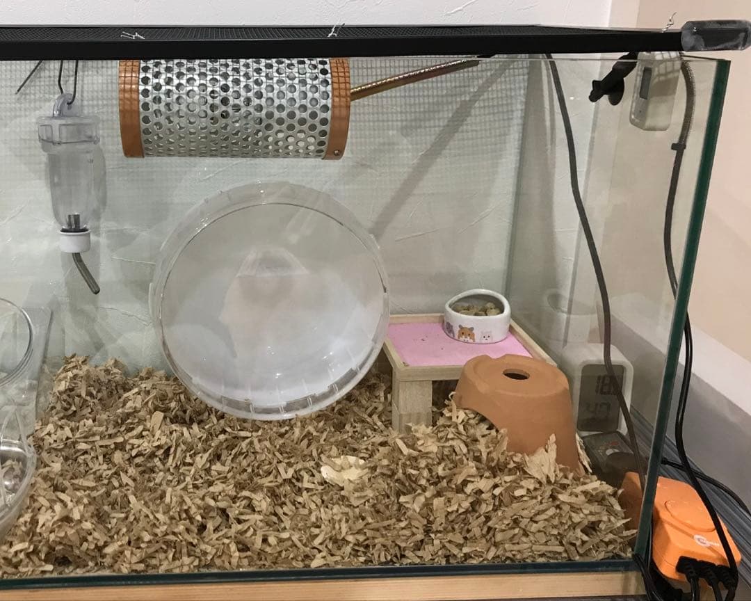 保温電球40Wカバー付き＆ミニマルサーモ&マルチパネルヒーター 16Ｗ　セット