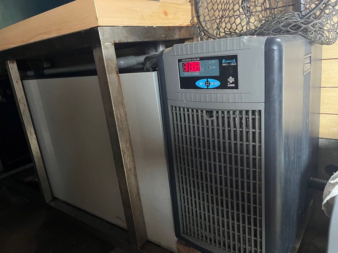 活魚水槽　アクリル水槽