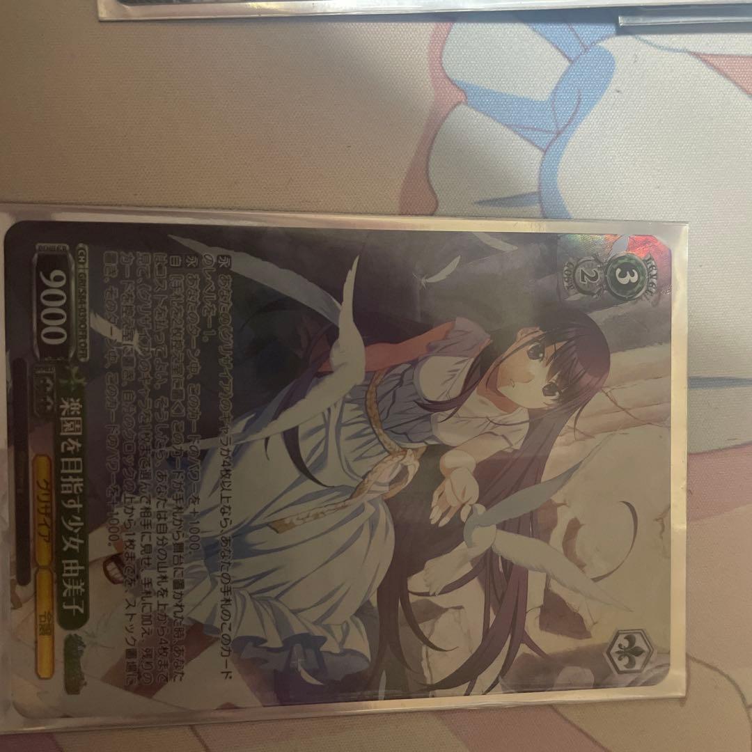 ヴァイスシュヴァルツ グリザイア8電源