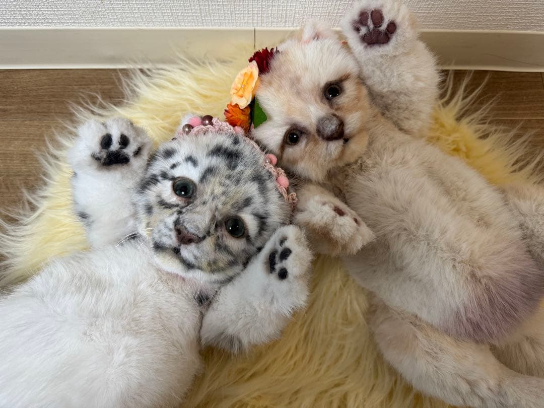 海外作家様作　アートドール　白ライオンの赤ちゃん