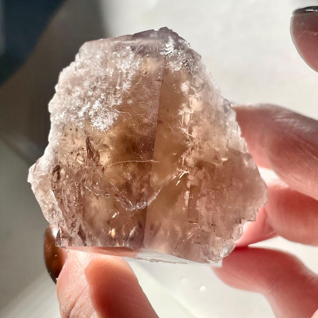 412 イギリス シェリーツインズ フローライト