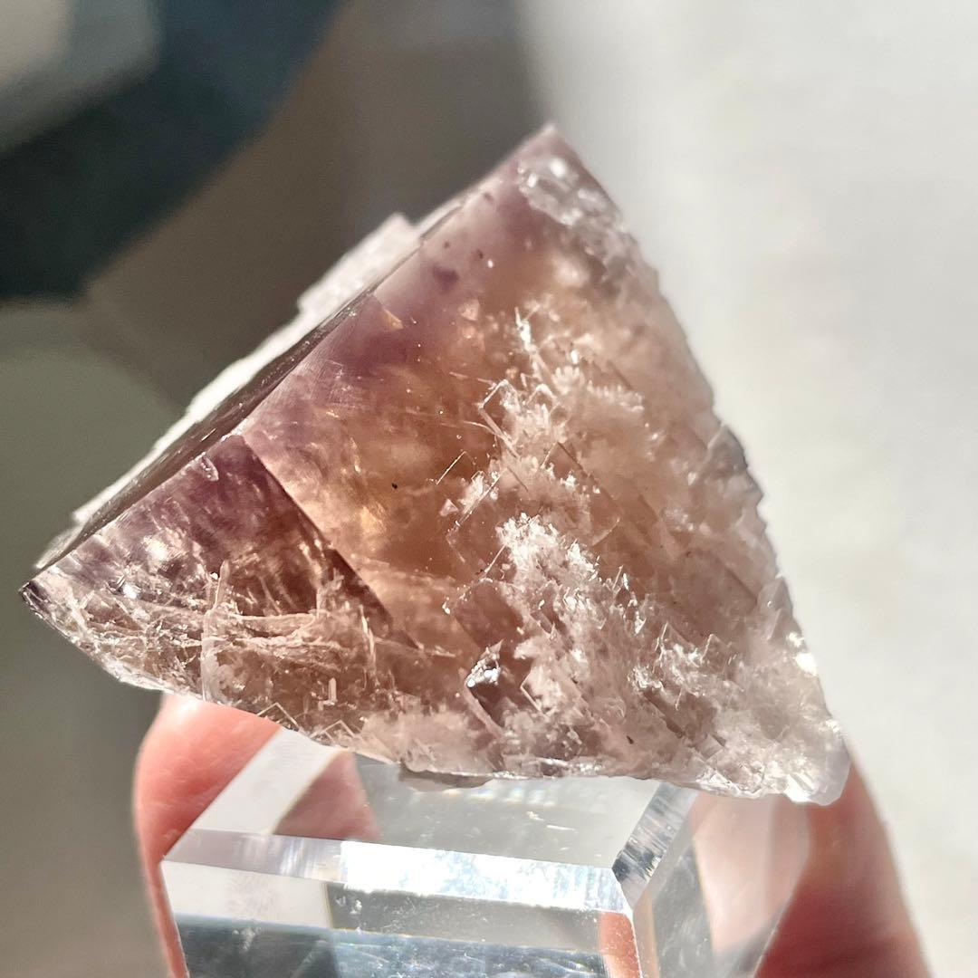 412 イギリス シェリーツインズ フローライト