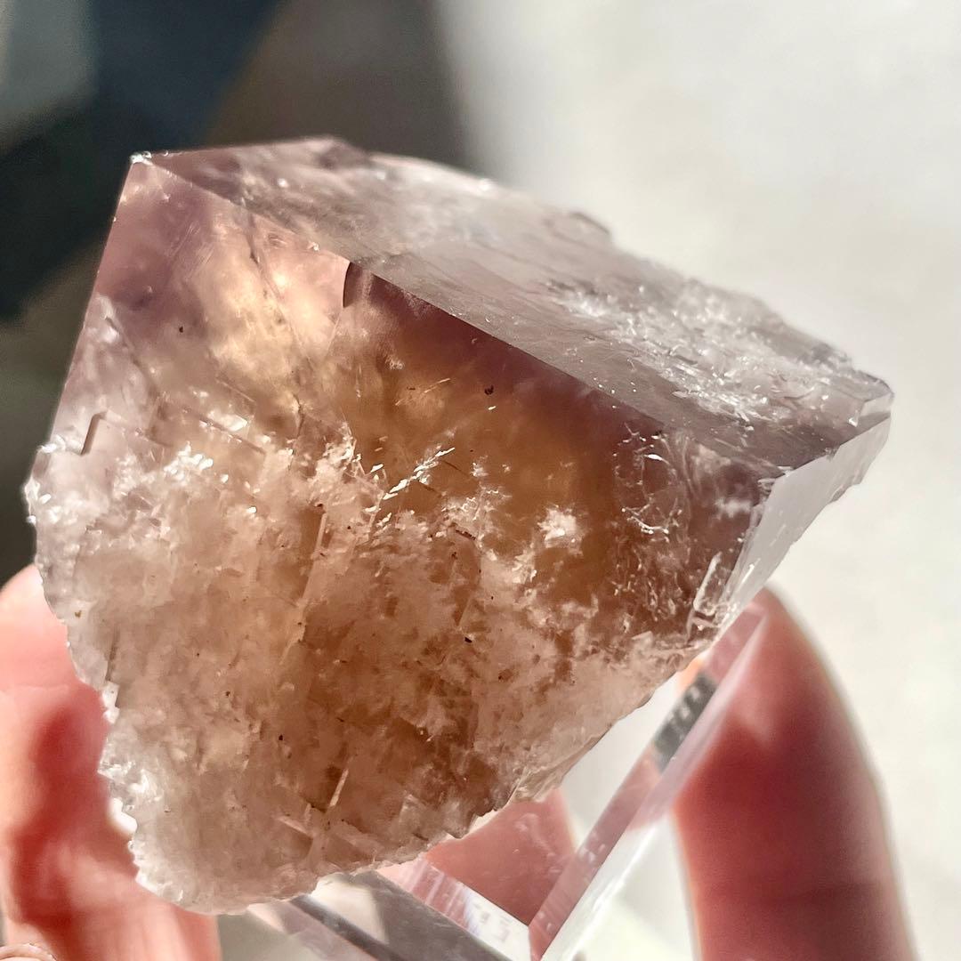 412 イギリス シェリーツインズ フローライト