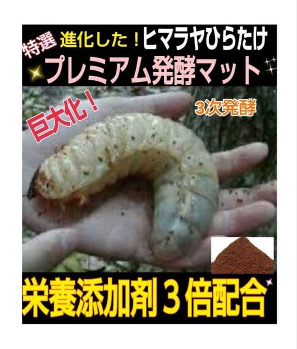 ギネスサイズ実績！特選プレミアム3次発酵カブトムシマット【5袋】特殊アミノ酸配合