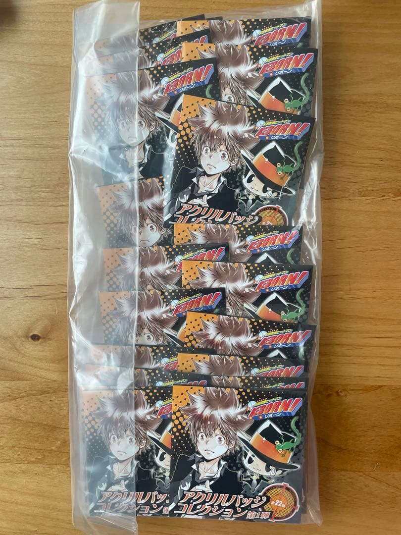 家庭教師ヒットマンREBORN！ アクリルバッジコレクション第1弾　22点