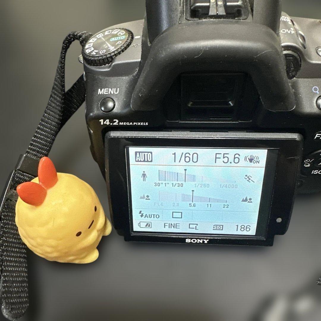 SONY α380 デジタル一眼レフカメラ　動作確認済　レンズセット　中古良品