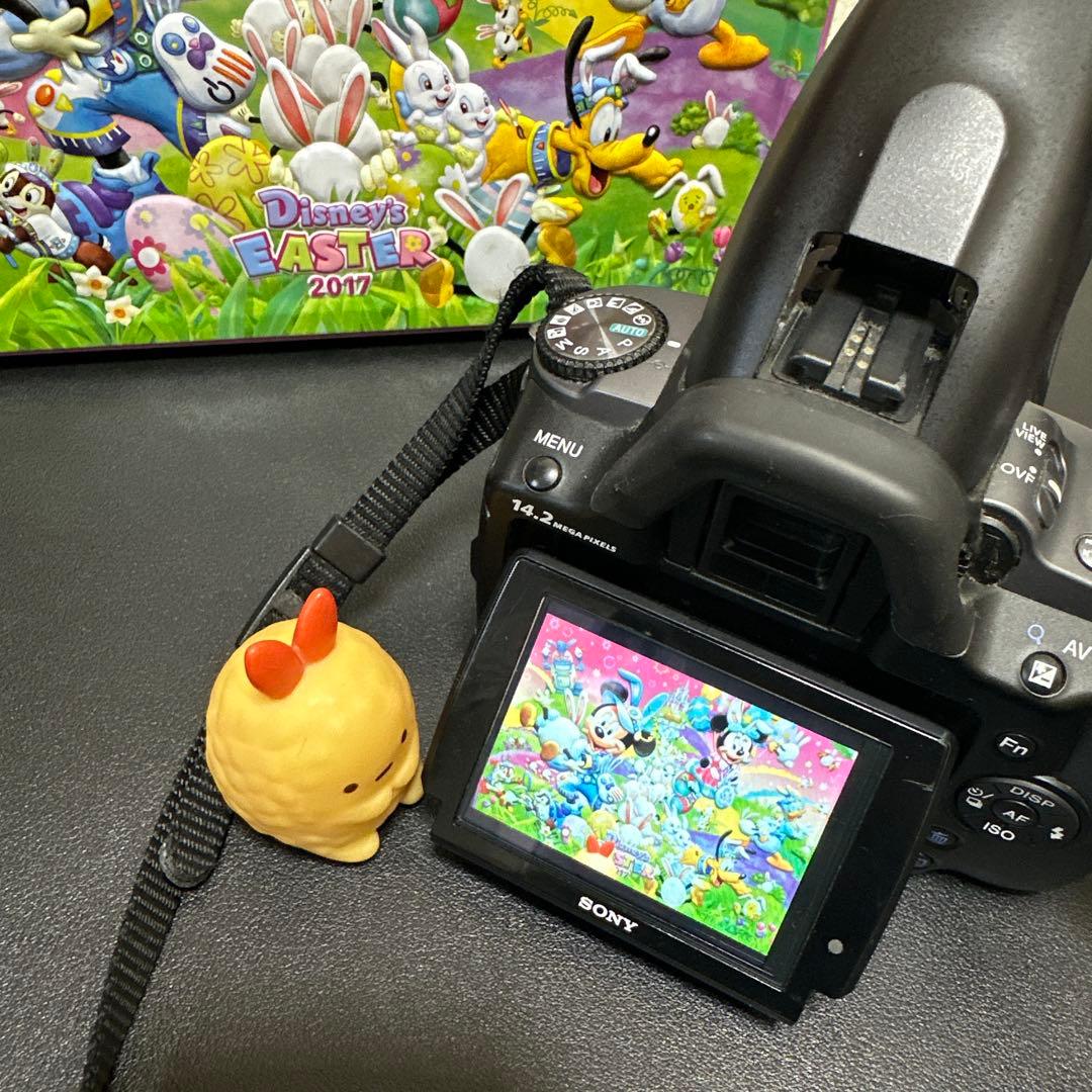 SONY α380 デジタル一眼レフカメラ　動作確認済　レンズセット　中古良品