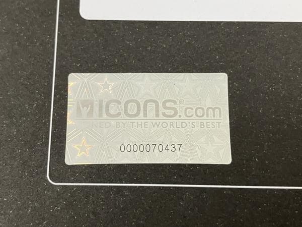 MIKE TYSON/マイクタイソン/直筆サイン入りボクシンググローブ/証明書付