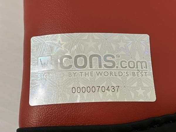 MIKE TYSON/マイクタイソン/直筆サイン入りボクシンググローブ/証明書付