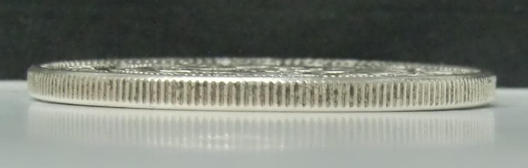 【本物保証】E052 明治17年 (1884年) 新一圓銀貨 (大型)