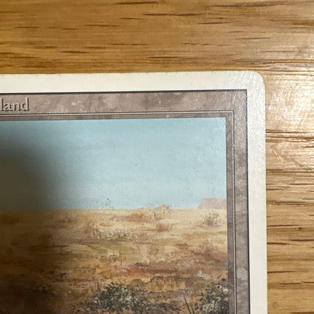 Scrubland スクラブランド デュアルランド