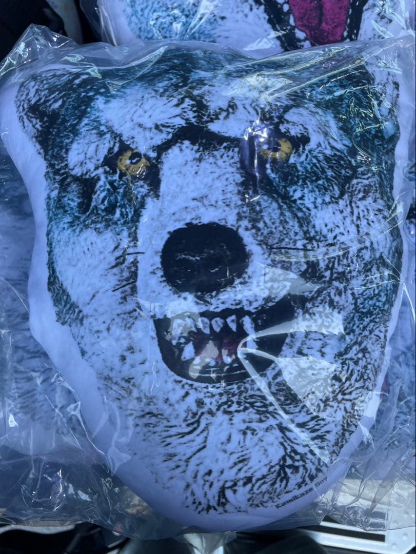 ⭐︎ tagapomu-_- ⭐︎クッションコンプ&マグネットセット