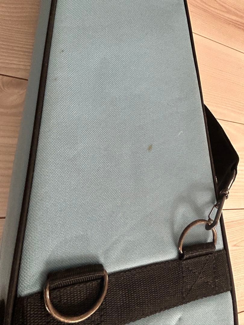 バイオリン・Carlo giordano・ケース付・1/16