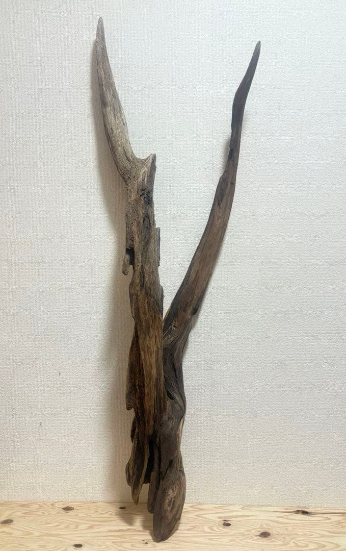 Ｇ37 灰汁抜き済み流木　爬虫類シェルター　観葉植物　インテリア