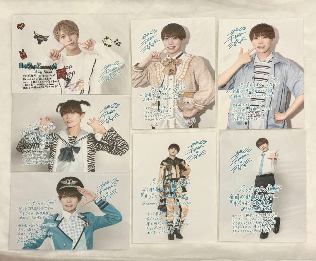 パンダドラゴン たいがなど グッズ セット