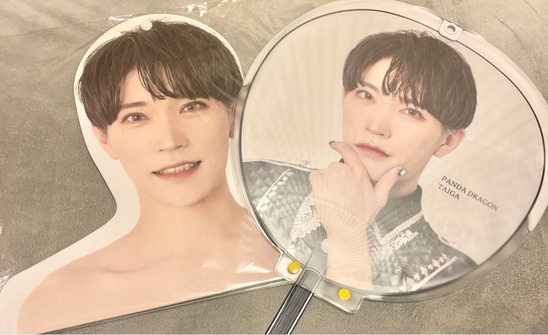 パンダドラゴン たいがなど グッズ セット