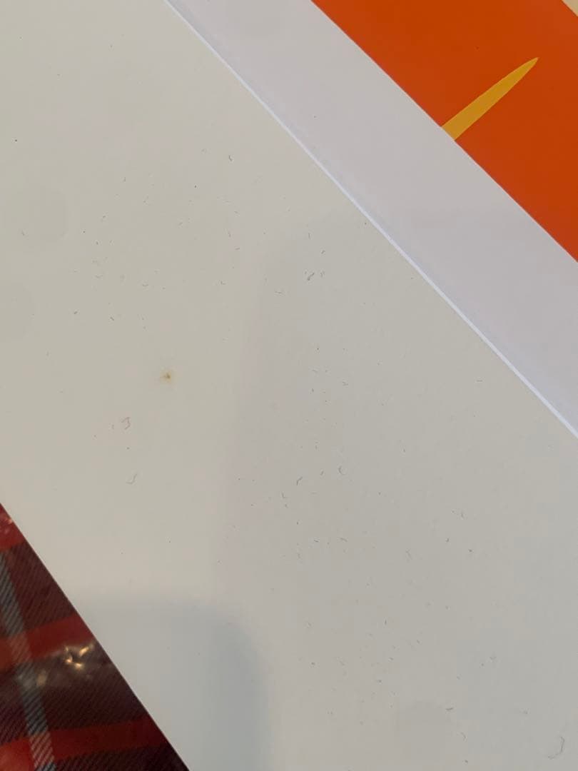 SHAG シャグ シルクスクリーン限定299枚 公式購入 シリアルナンバー