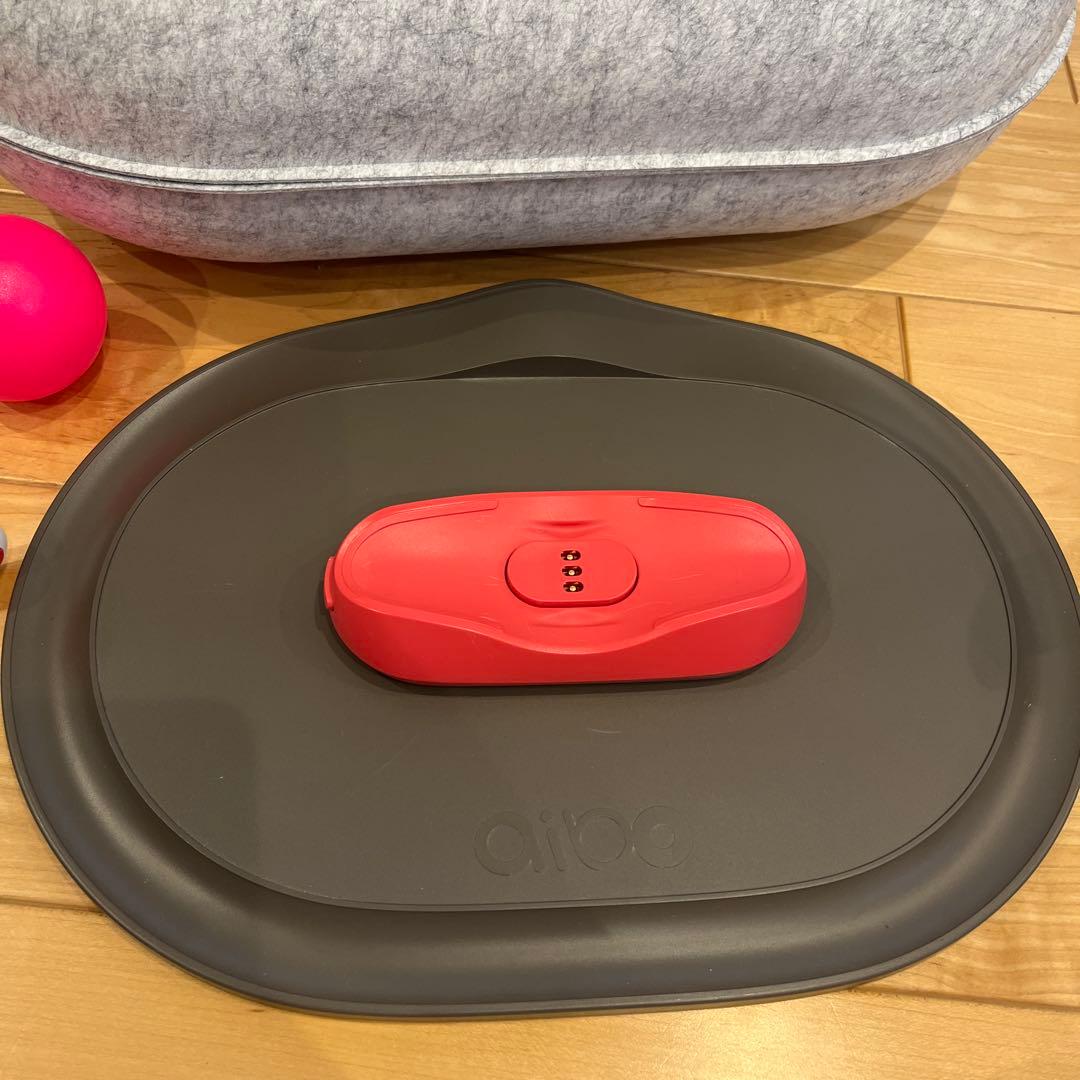 aibo 本体 フルセット SONY ソニー ERS-1000