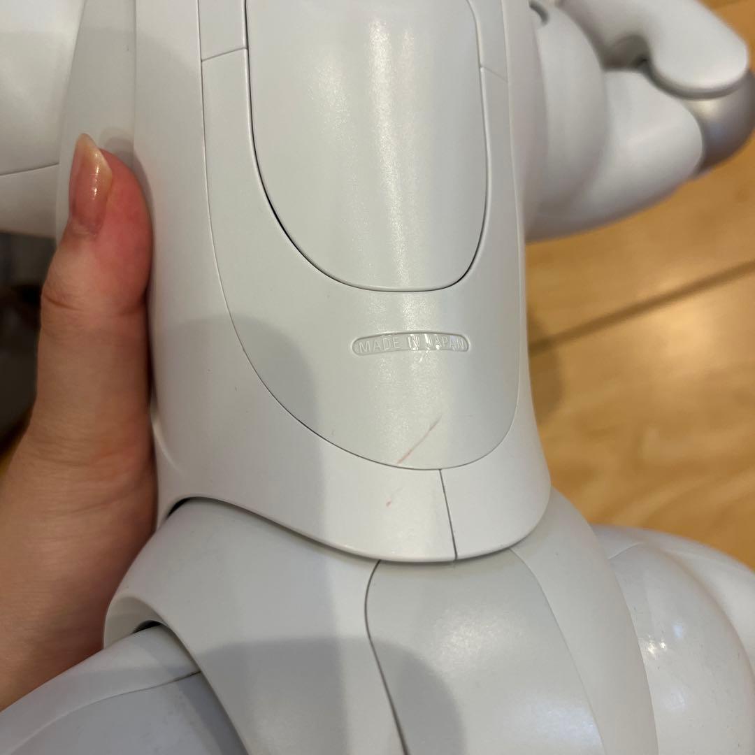 aibo 本体 フルセット SONY ソニー ERS-1000