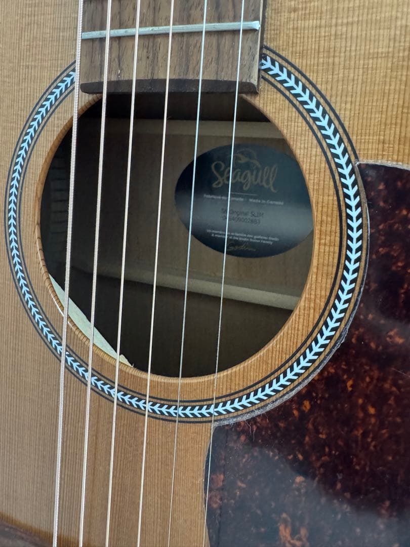 シーガル　S6 オリジナルスリム　バッグ・ピック・チューナー付　アコギ