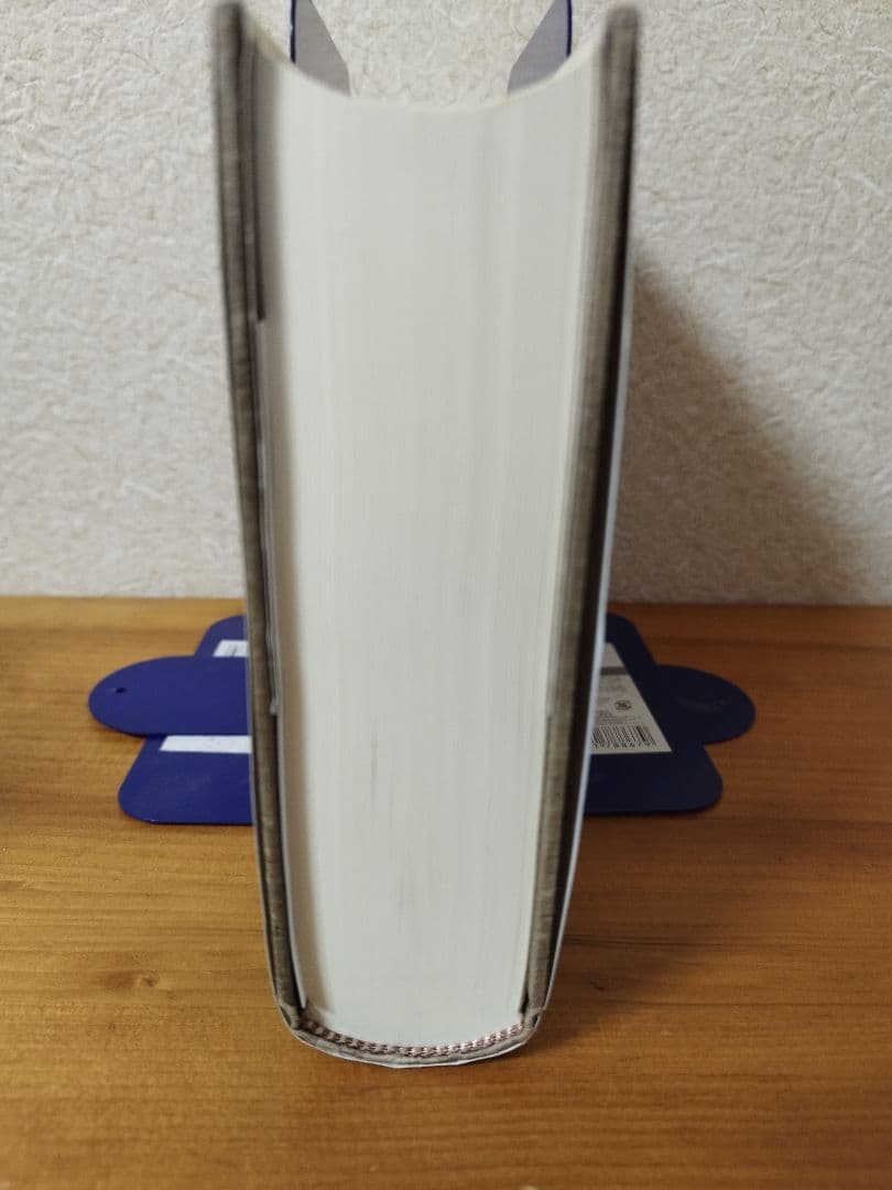 フランソワ・ラブレーの作品と中世・ルネサンスの民衆文化 杉里直人 水声社