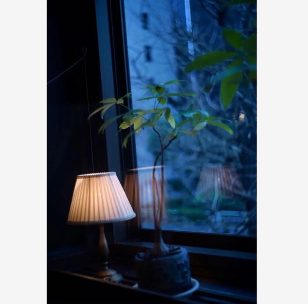 Leica Summitar 50mm ズミタール　5cm f2