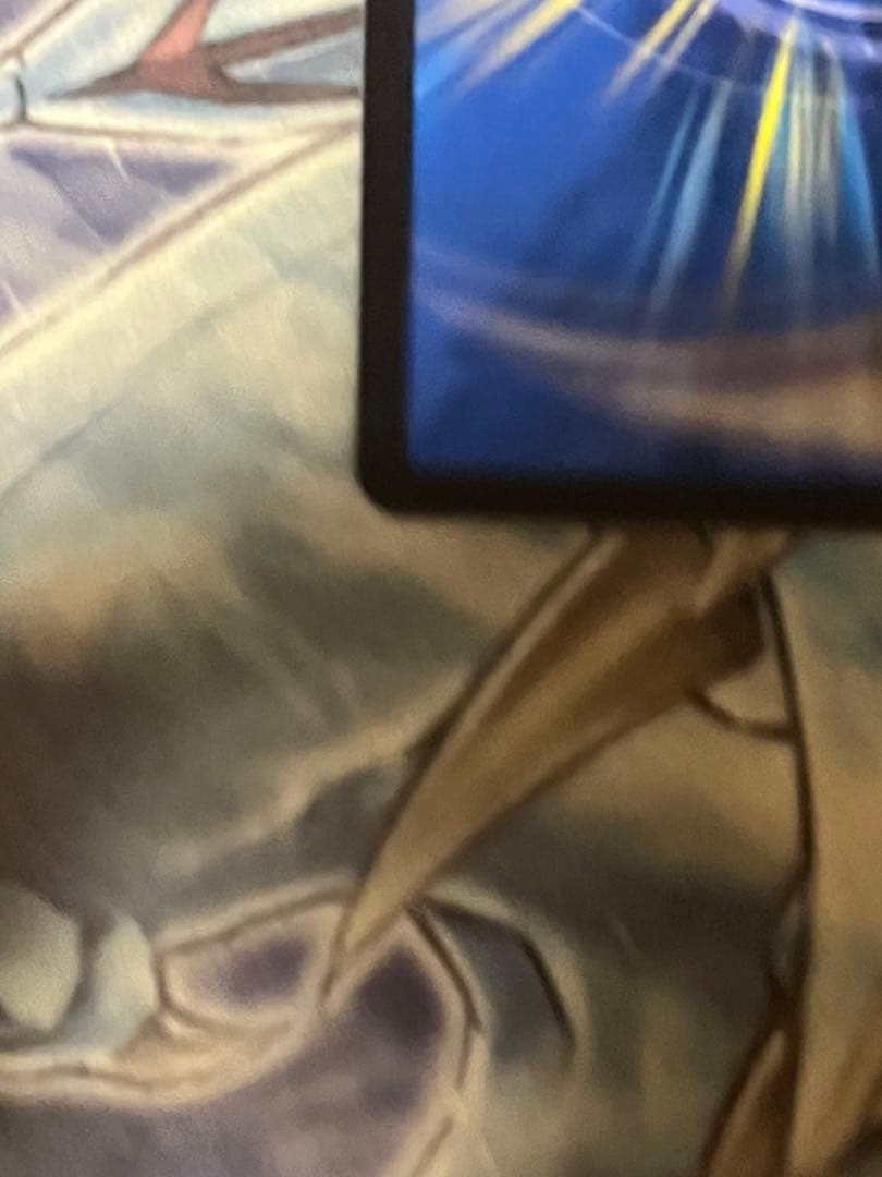 神聖龍 エモーショナル・ハードコア 金トレジャー