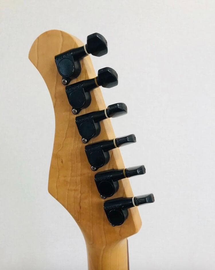 Bacchus BST-1R 3TS ストラトタイプ サンバースト ソフトケース