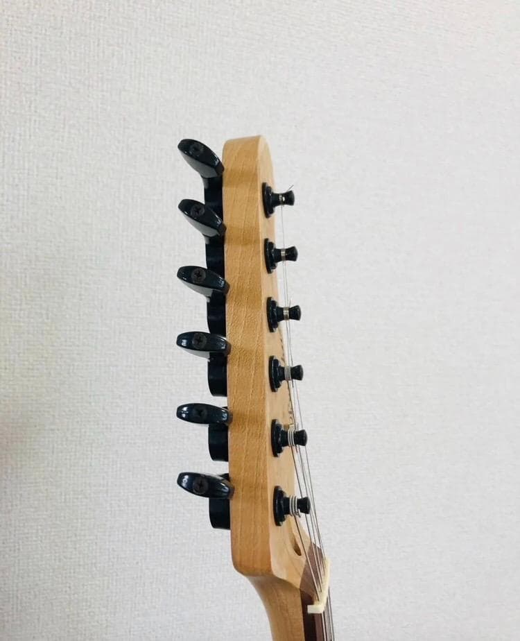 Bacchus BST-1R 3TS ストラトタイプ サンバースト ソフトケース