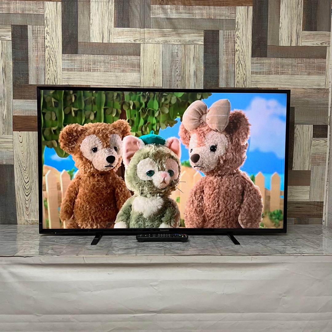 リクエスト価格全国送料込 パナソニック49インチ 液晶テレビ HDMI×2ips