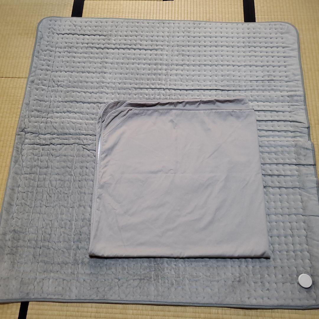 DENBA デンバヘルススタンダード カバー&検電器付　外箱なし