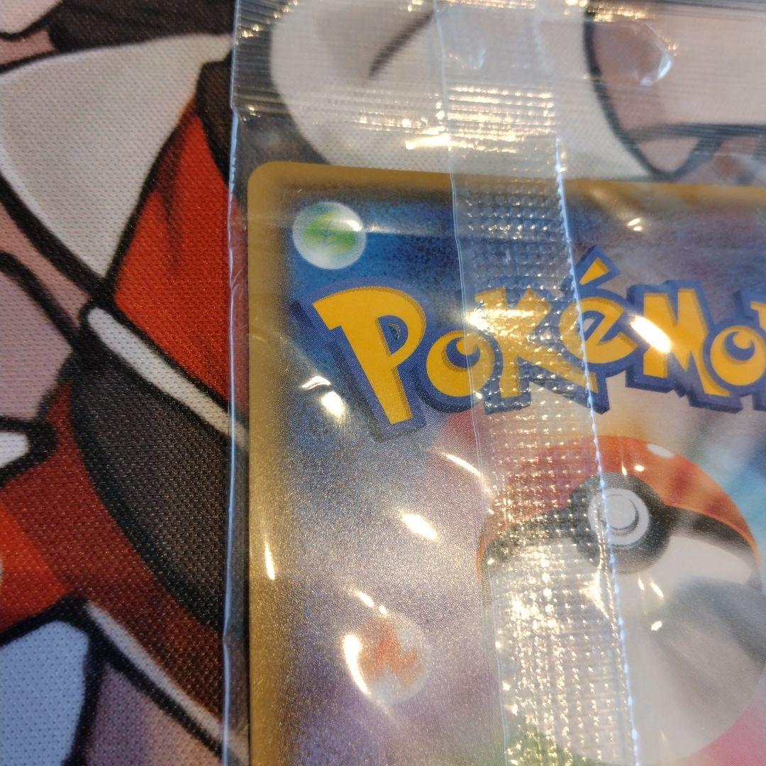 ポンチョを着たイーブイ リーフィア　未開封