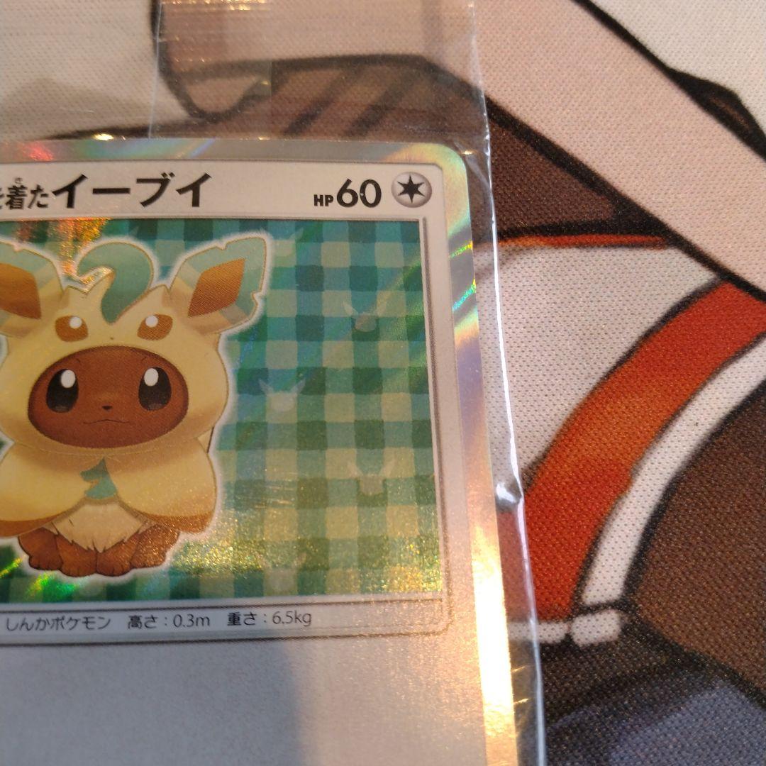 ポンチョを着たイーブイ リーフィア　未開封