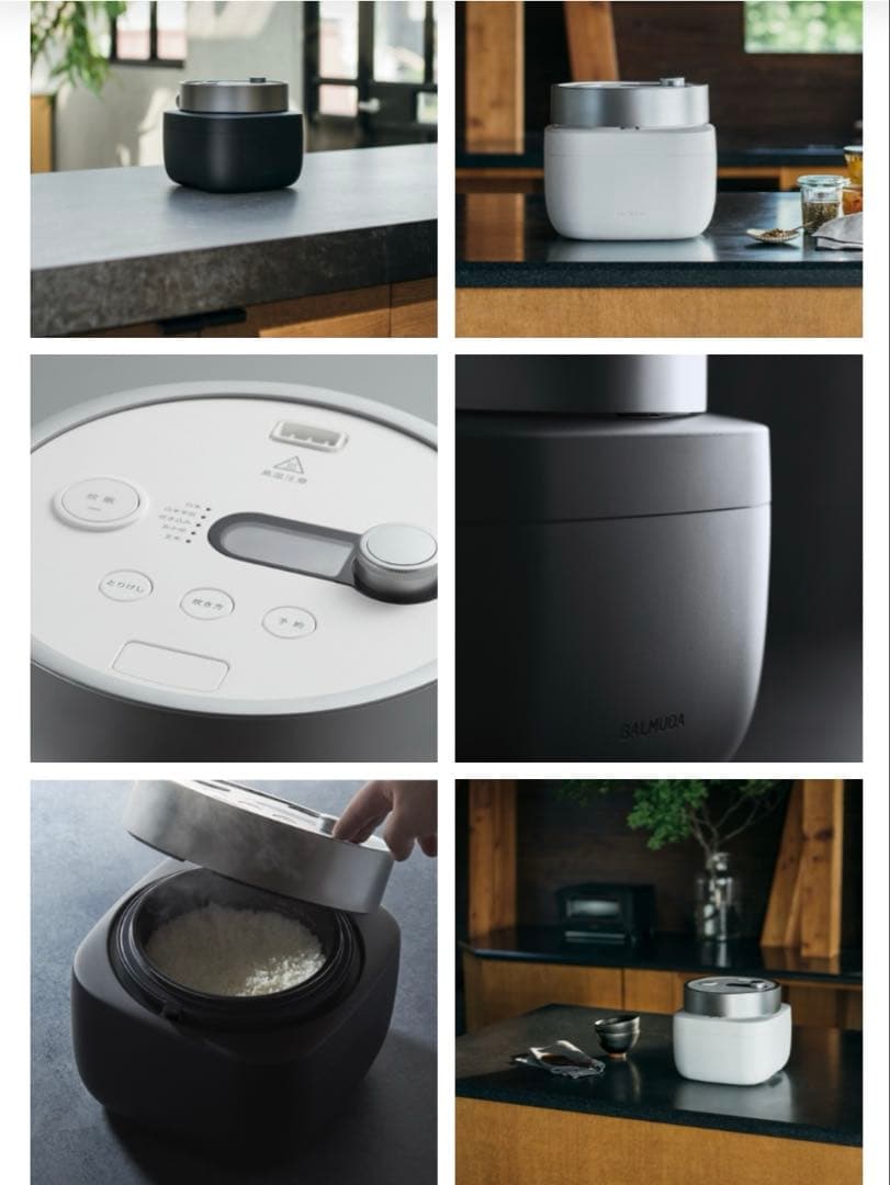 【新品】 【送料込】バルミューダ 炊飯器 The Gohan