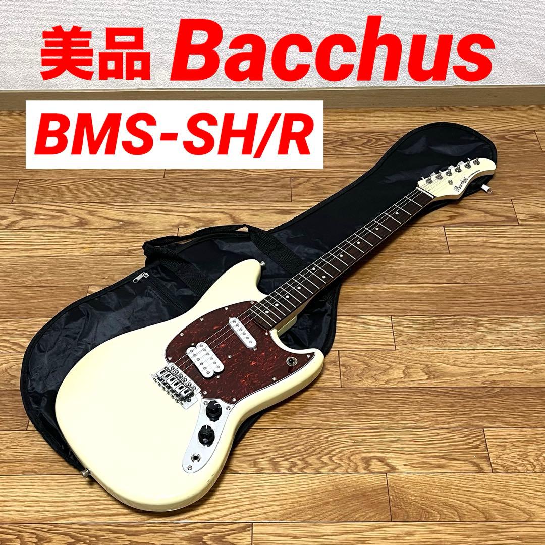 美品 Bacchus バッカス BMS-SH/R サイクロン