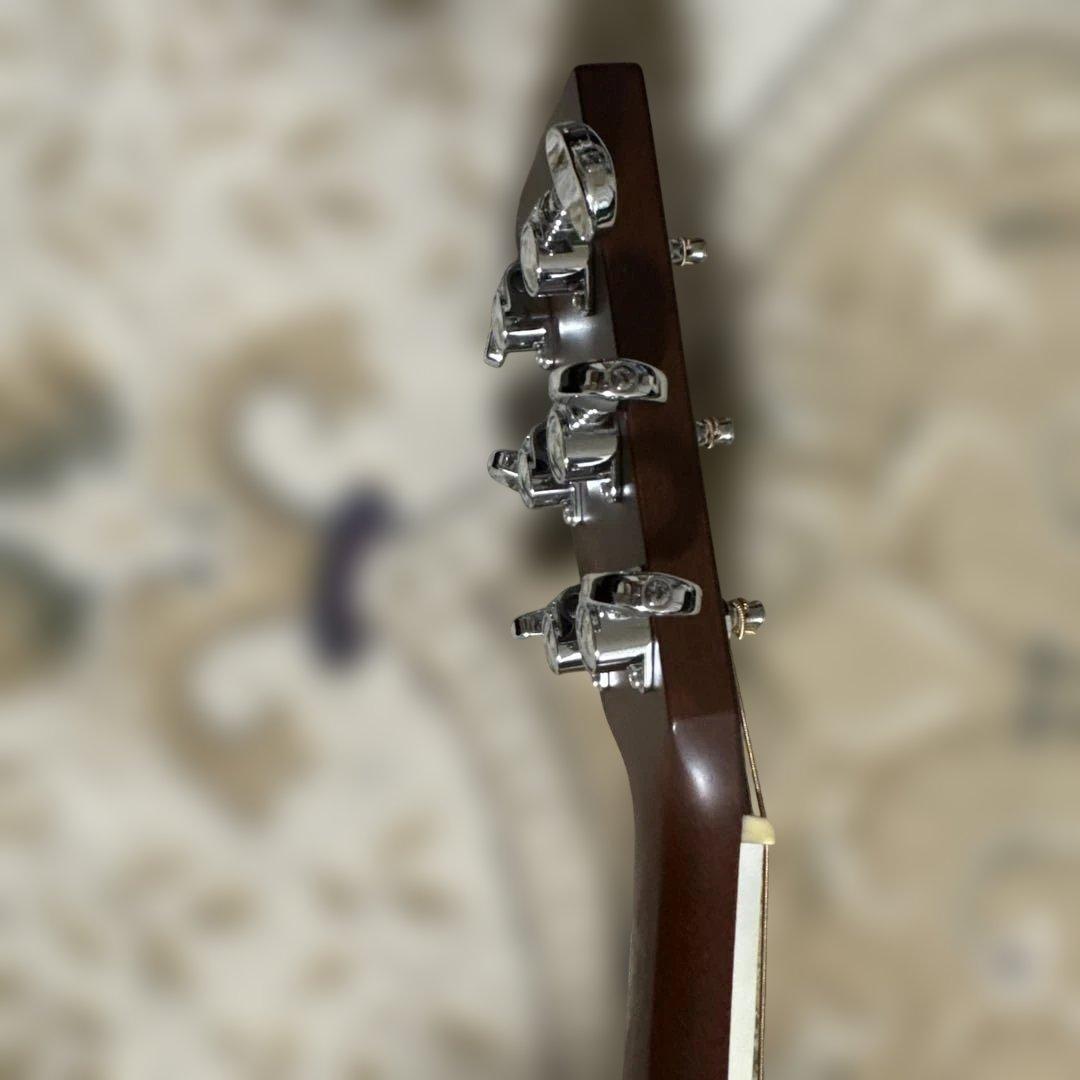 Martin & Co. D-28 アコースティックギター ハードケース付き