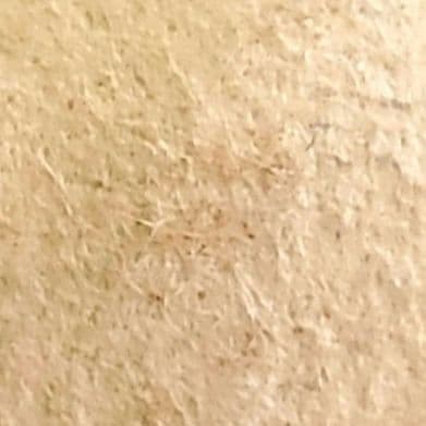 手彫竜文切手　銭五百文　明治4年　未使用