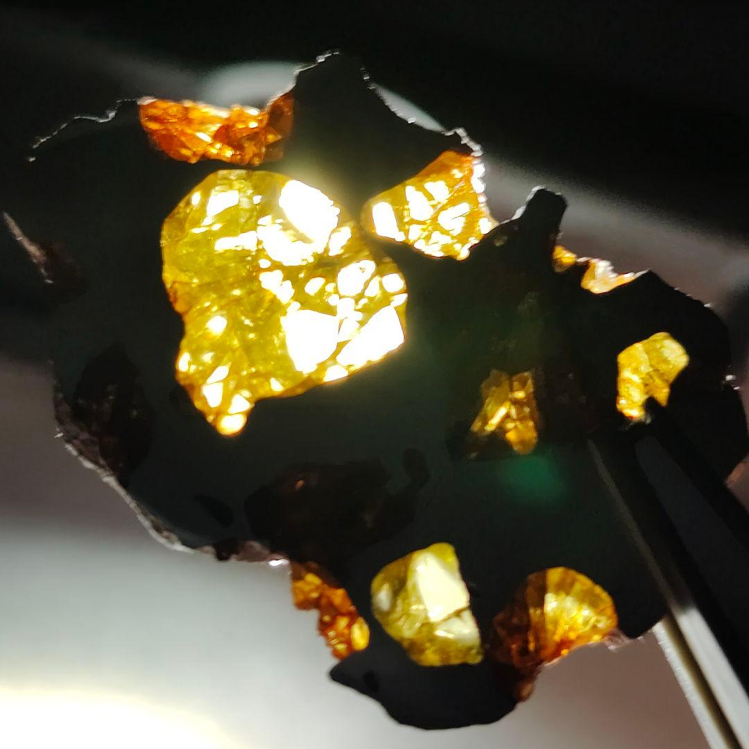 【パラサイト隕石】イミラック隕石 9g ケース&ネームカード付き NO.341