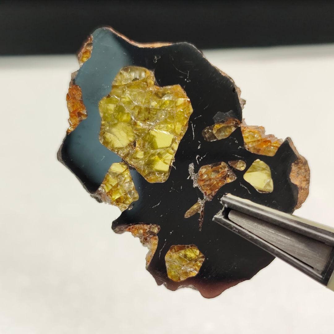 【パラサイト隕石】イミラック隕石 9g ケース&ネームカード付き NO.341