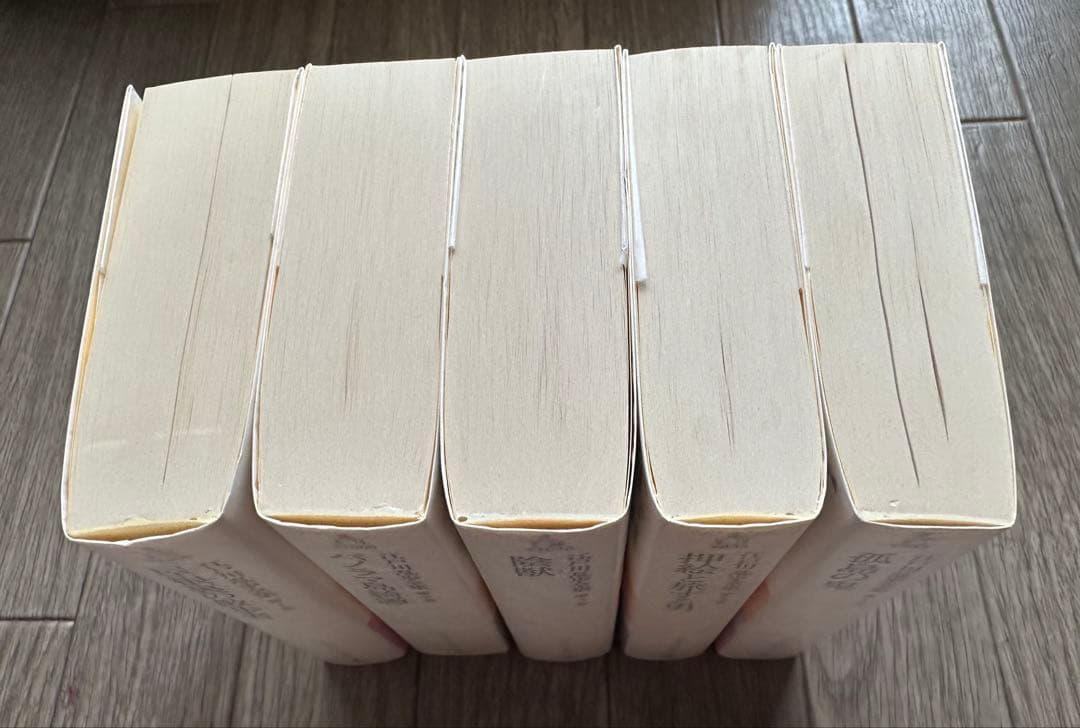 江戸川乱歩全集/光文社文庫【新品未読・全30巻揃】