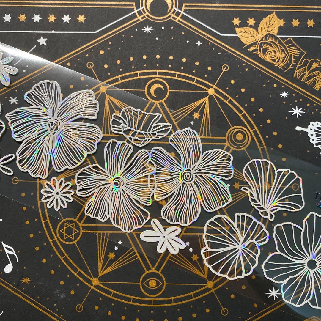 【9268】海外　マステ　中古巻　貝殻光マスキングテープ　お花系