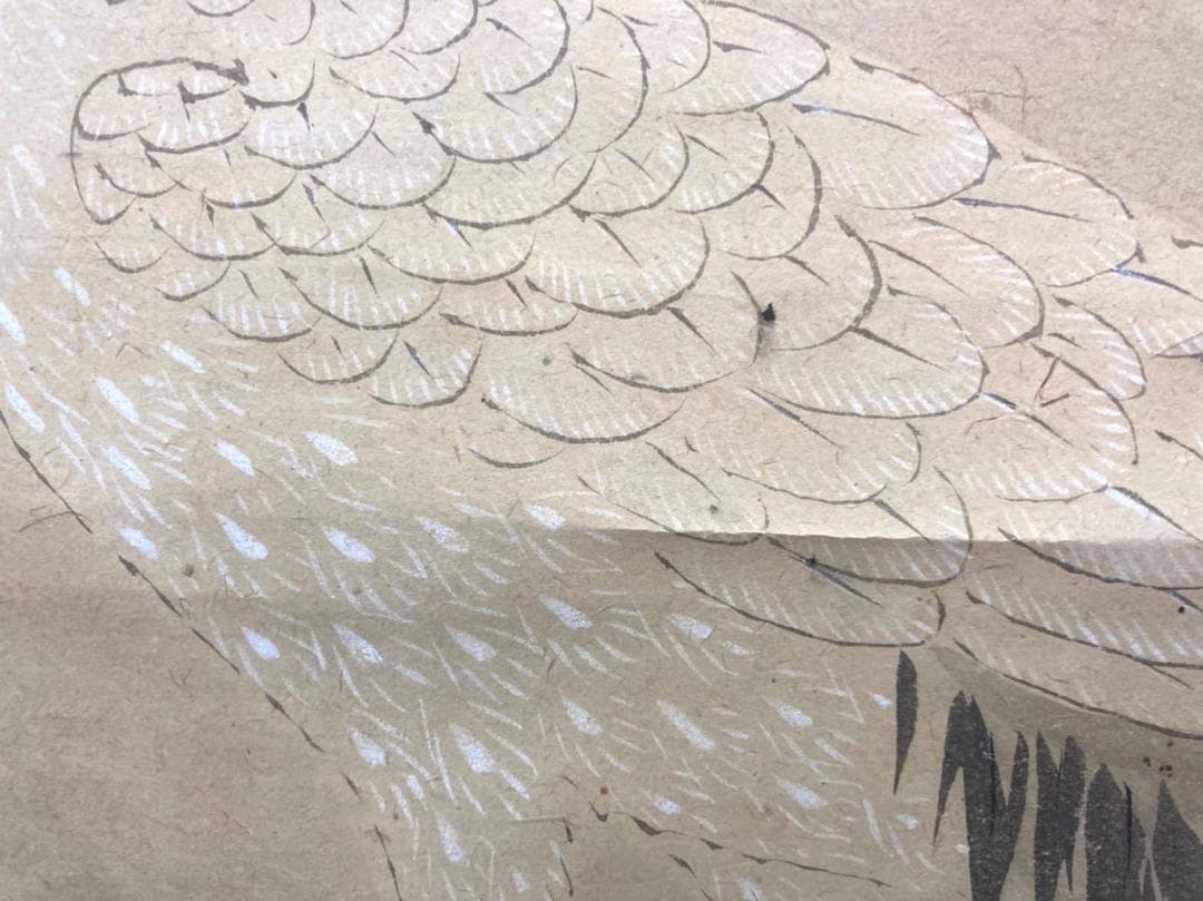 狩野氏信「鶴」花鳥画 掛軸 紙本