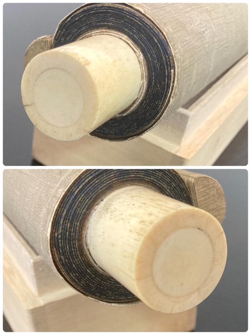 狩野氏信「鶴」花鳥画 掛軸 紙本