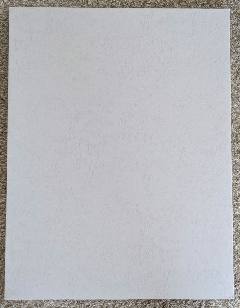 シティーハンター　高精細複製原画