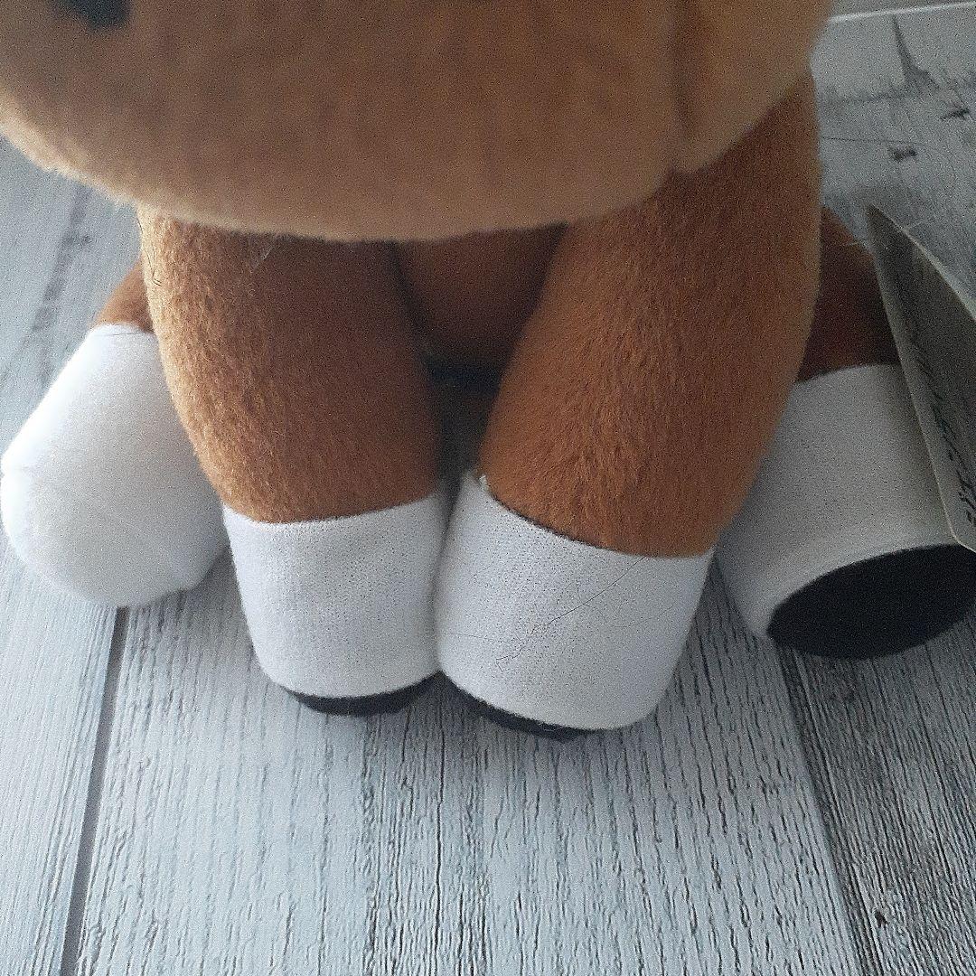 アイドルホース　ジェンティルドンナ